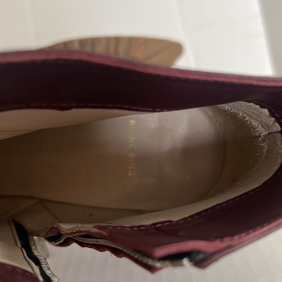 Anine bing Frances pointed toe boot - Picture 8 of 9